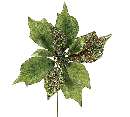 Natal
